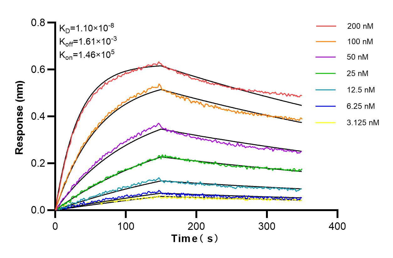 Affinity and Kinetic Characterization of 83465-2-RR