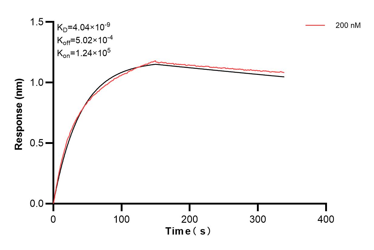 Affinity and Kinetic Characterization of 83465-3-PBS