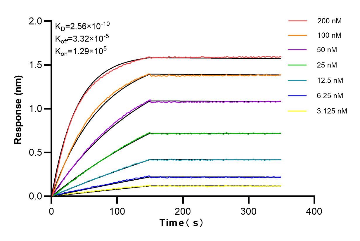 Affinity and Kinetic Characterization of 83470-3-RR