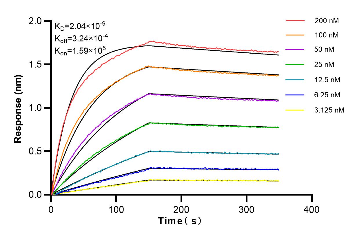 Affinity and Kinetic Characterization of 83475-2-RR