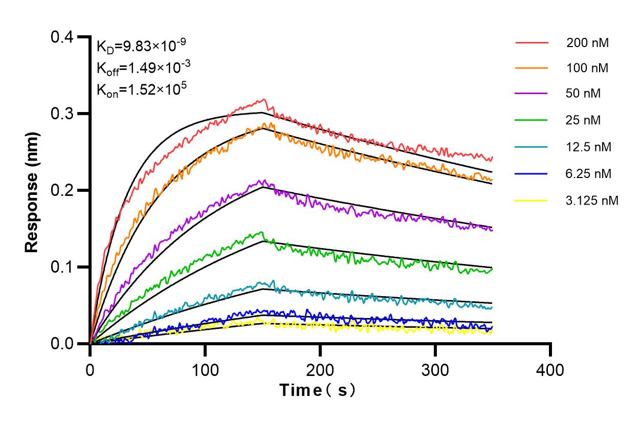 Affinity and Kinetic Characterization of 83492-6-RR