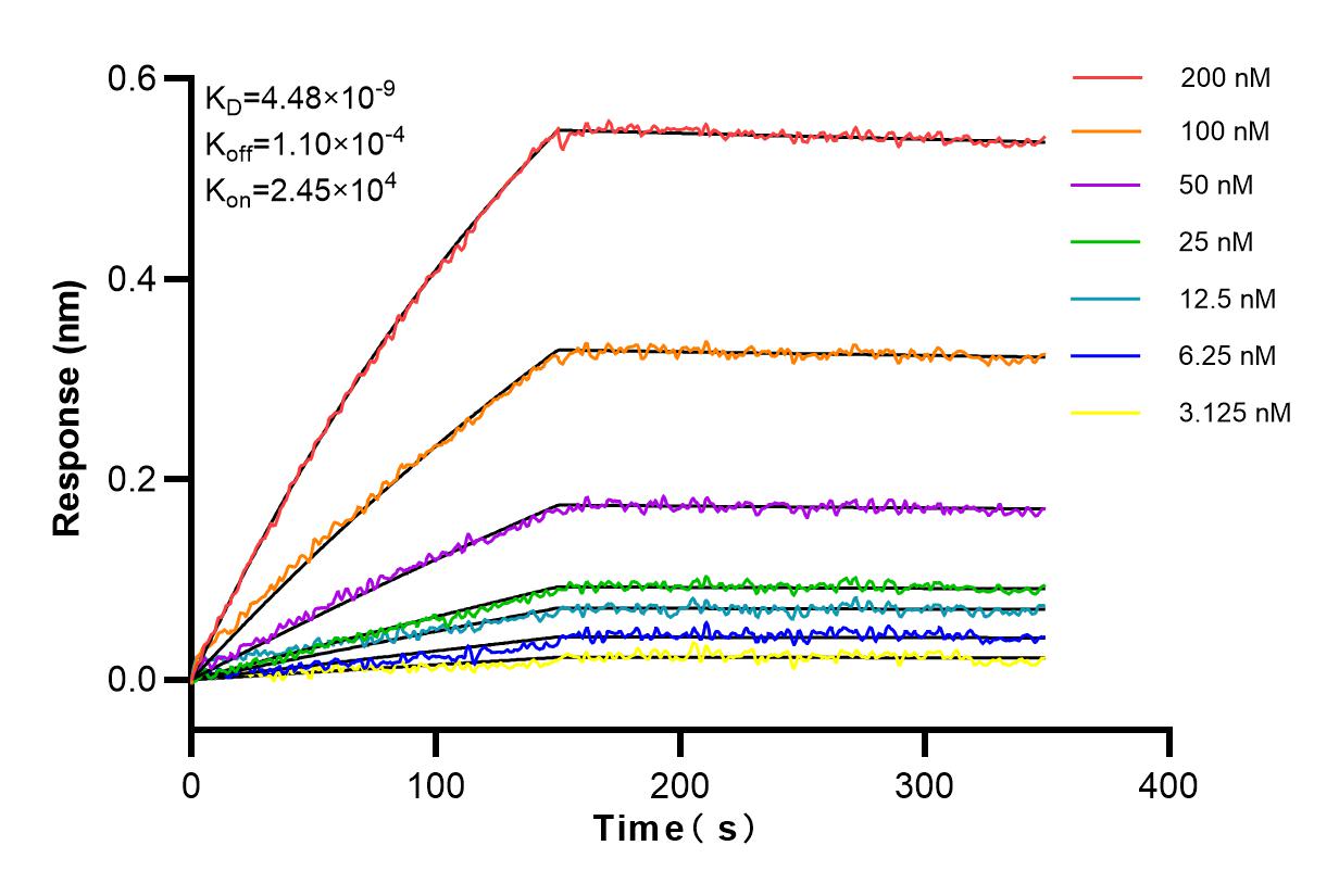 Affinity and Kinetic Characterization of 83494-6-RR