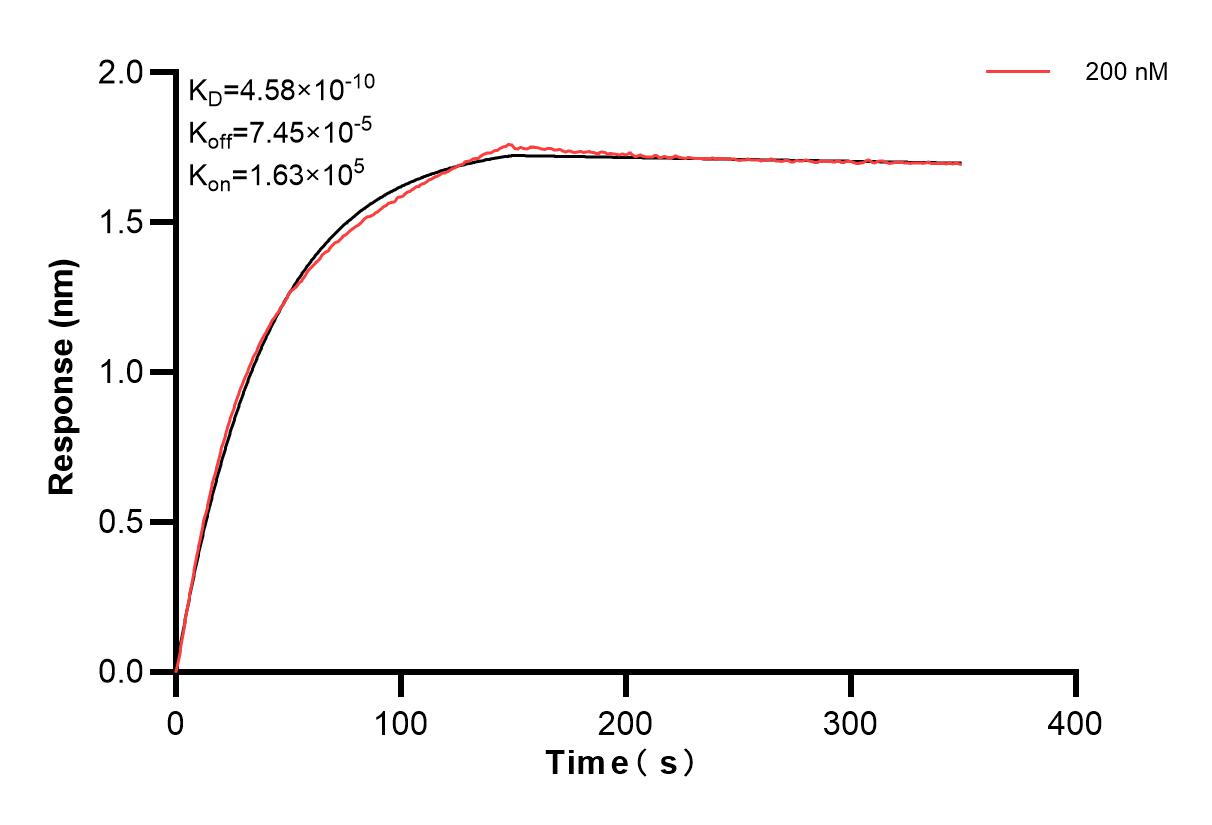 Affinity and Kinetic Characterization of 83495-1-PBS