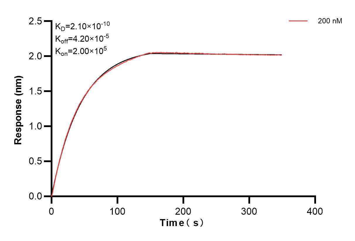 Affinity and Kinetic Characterization of 83495-4-PBS