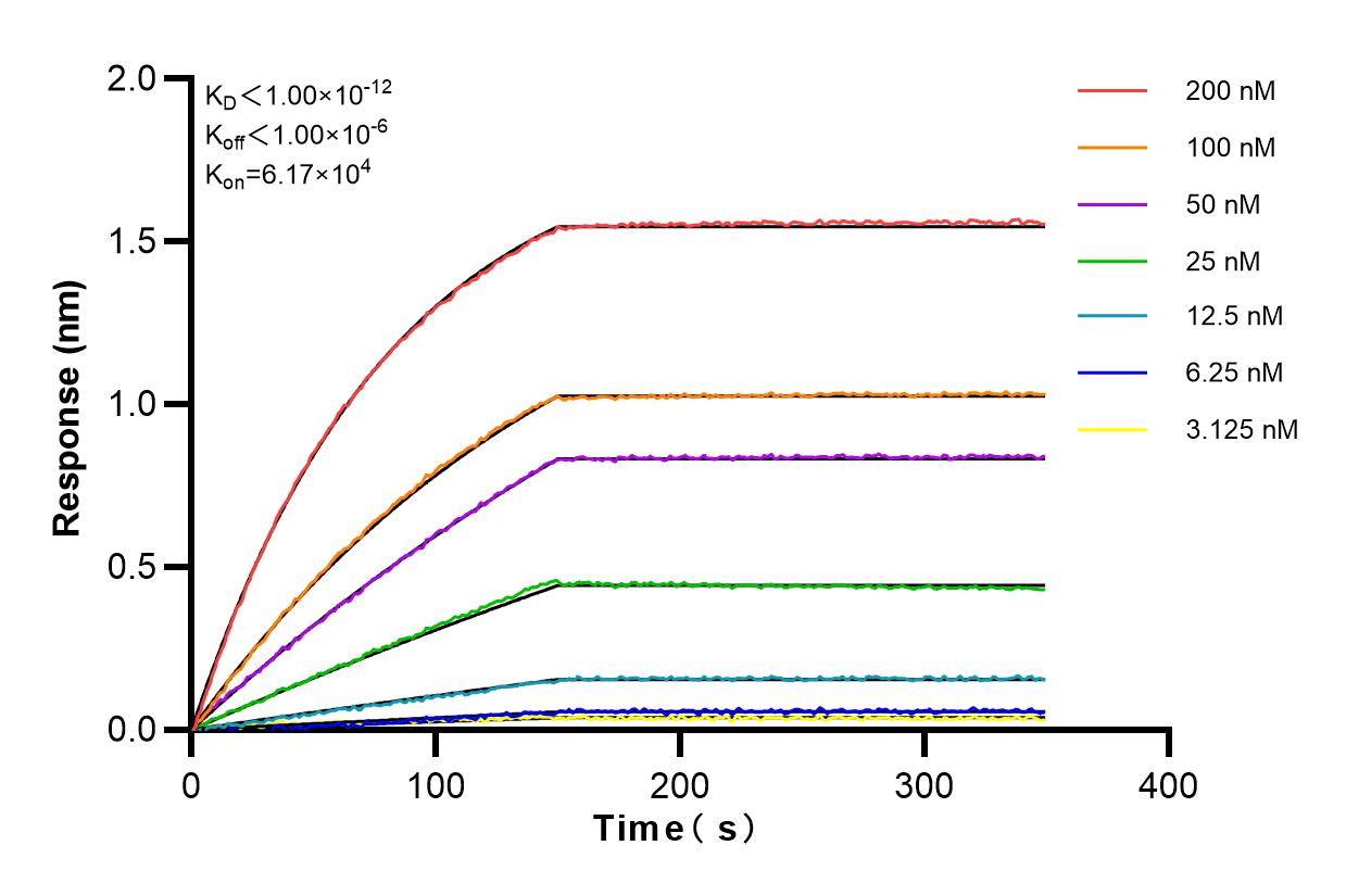 Affinity and Kinetic Characterization of 83505-1-RR