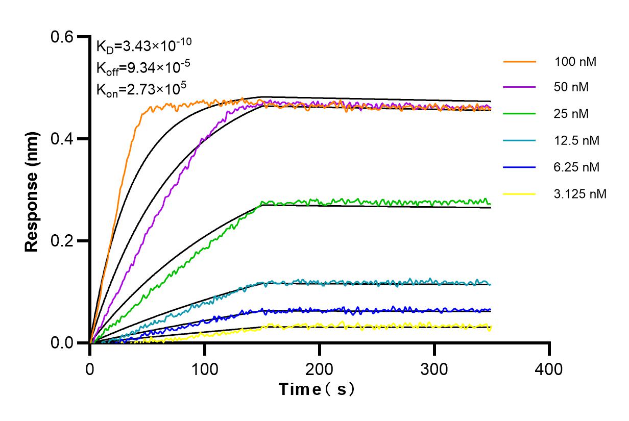 Affinity and Kinetic Characterization of 83507-2-RR