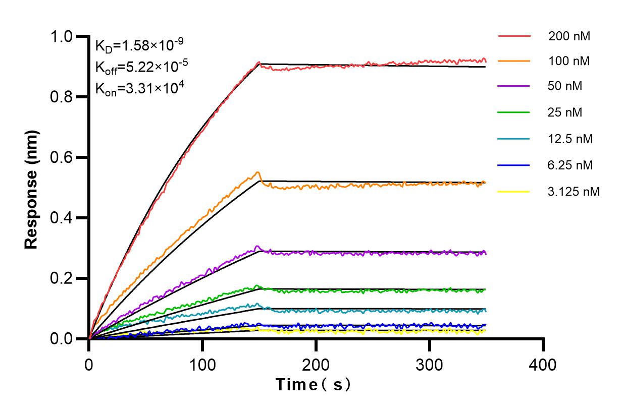 Affinity and Kinetic Characterization of 83515-4-RR