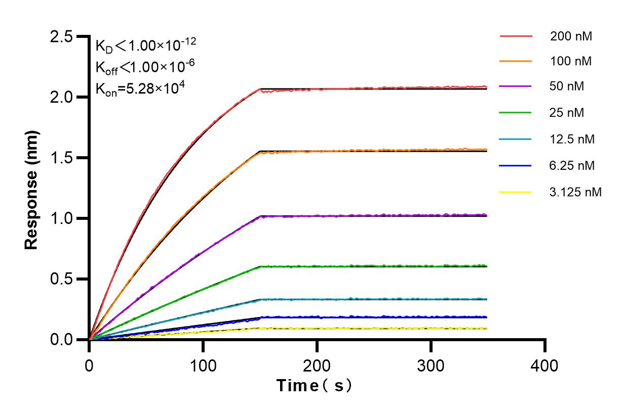 Affinity and Kinetic Characterization of 83520-3-RR