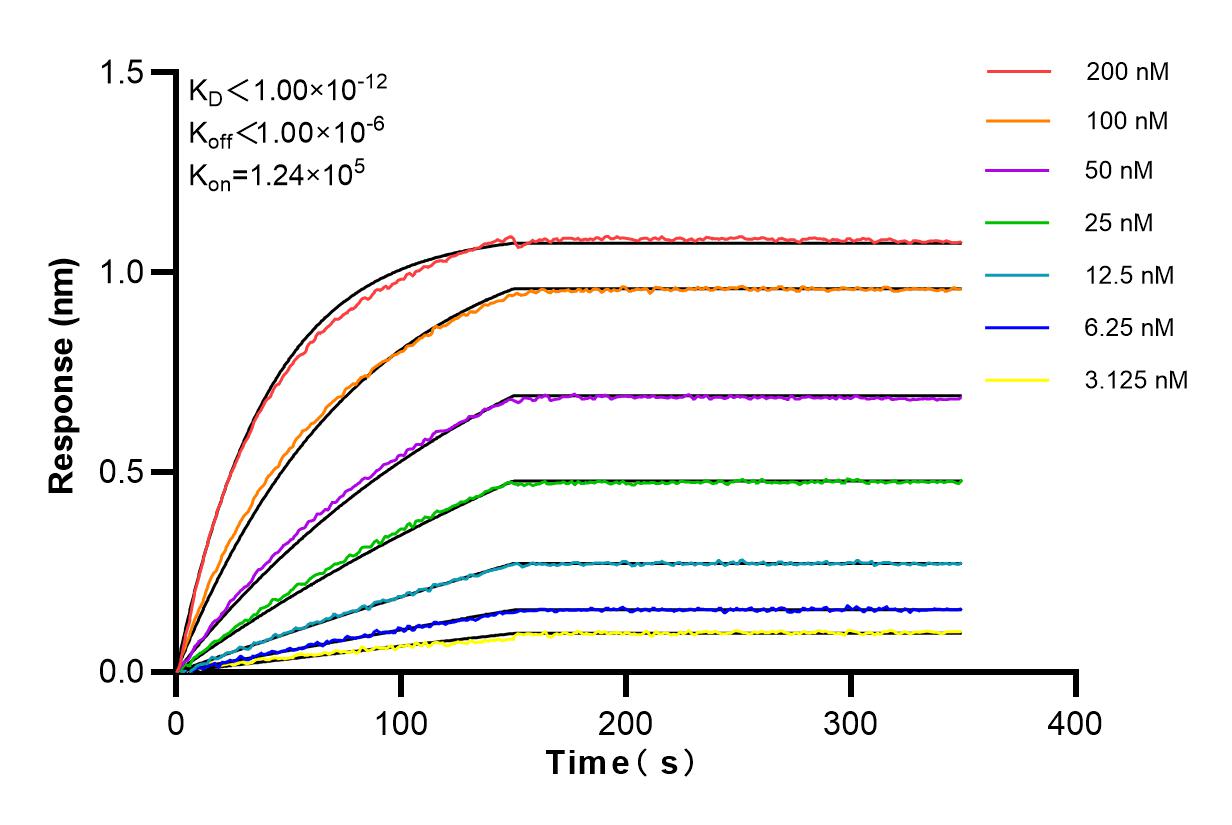 Affinity and Kinetic Characterization of 83521-2-RR