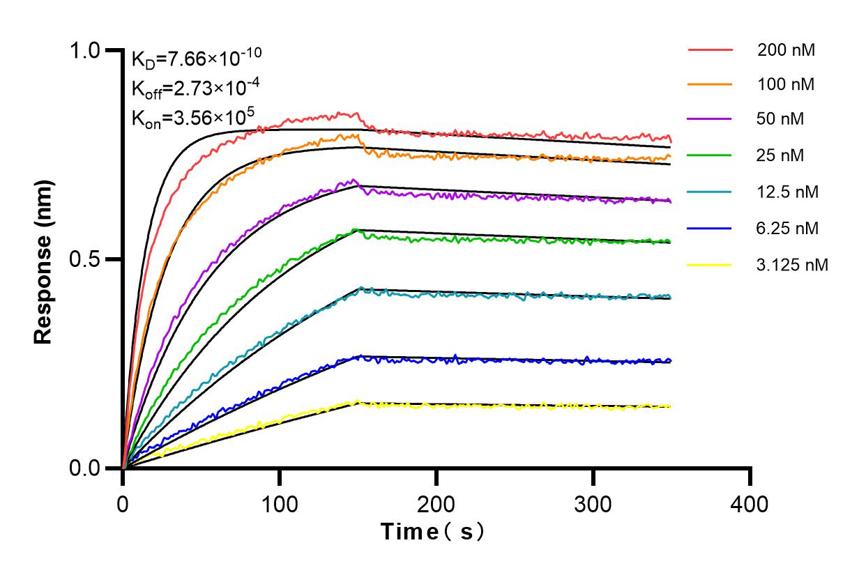 Affinity and Kinetic Characterization of 83523-4-RR