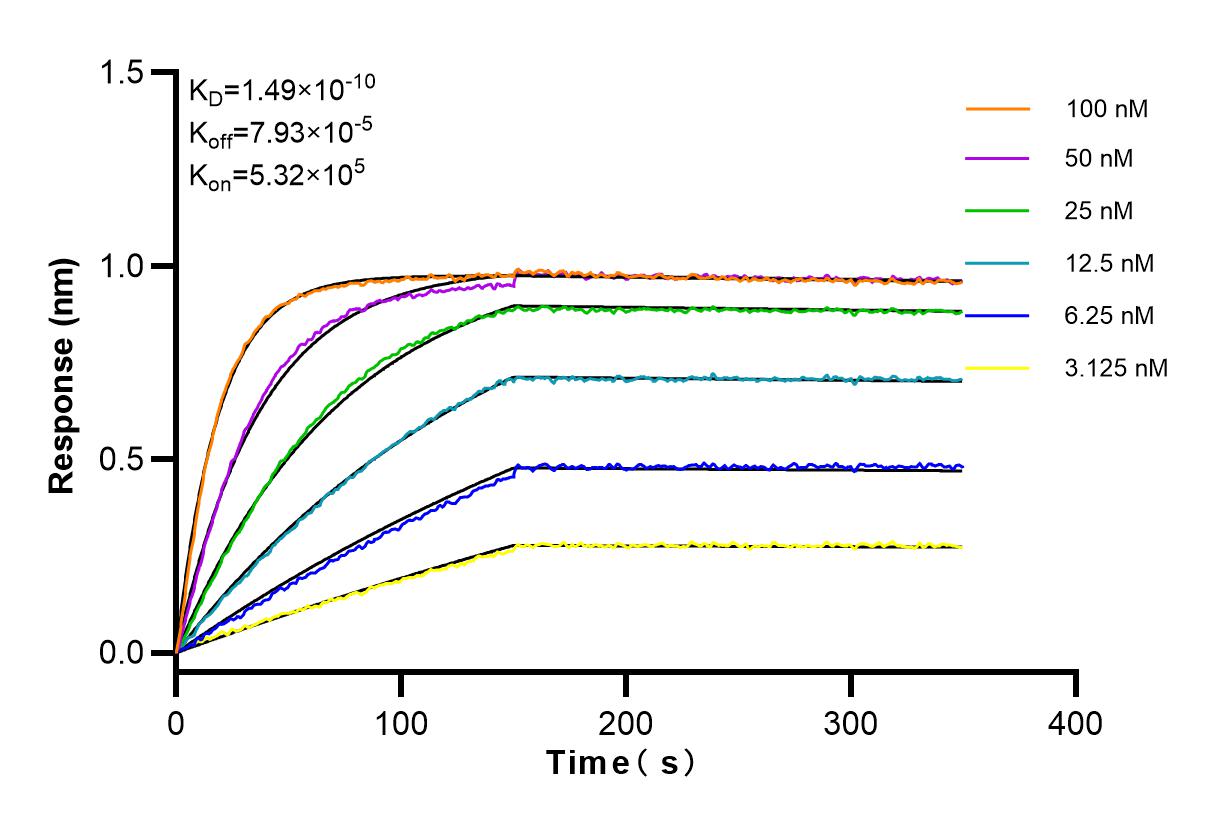 Affinity and Kinetic Characterization of 83525-2-RR