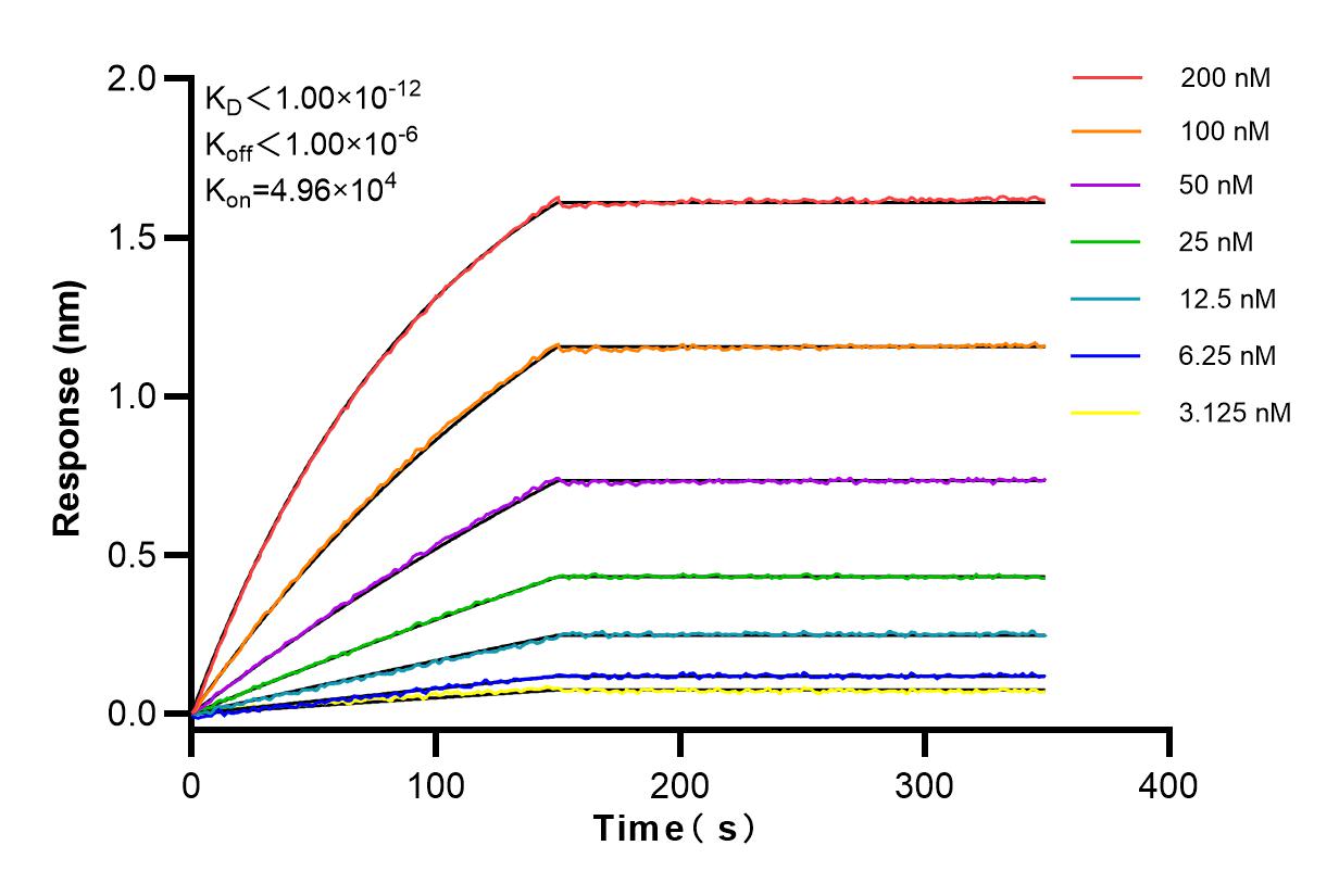 Affinity and Kinetic Characterization of 83527-3-RR