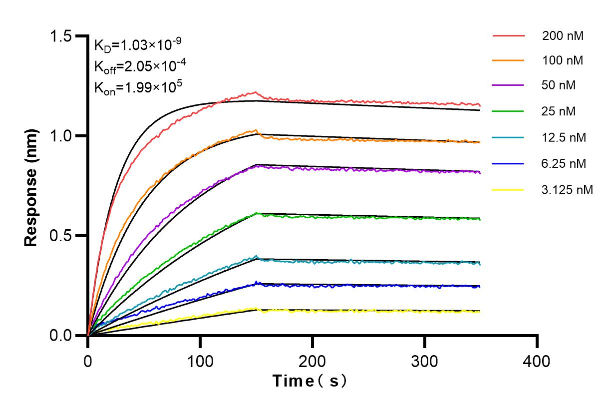 Affinity and Kinetic Characterization of 83556-5-RR