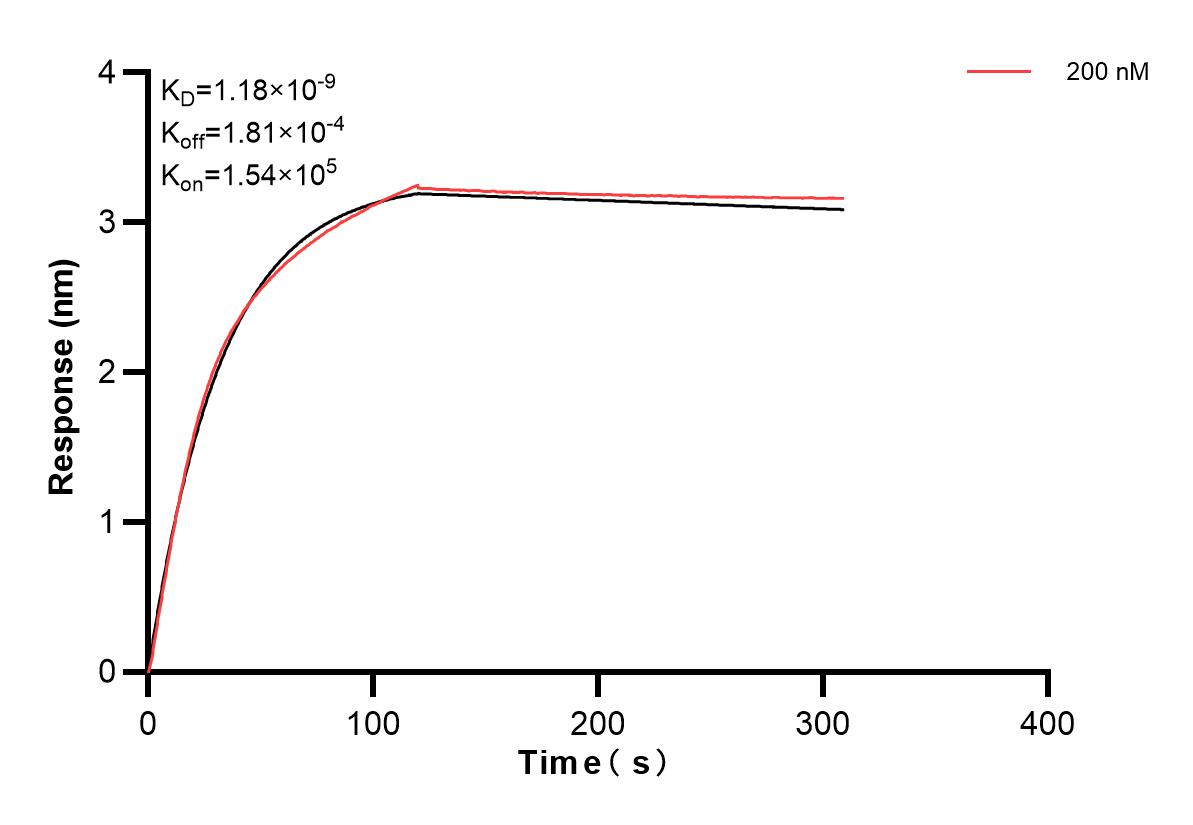 Affinity and Kinetic Characterization of 83567-2-PBS