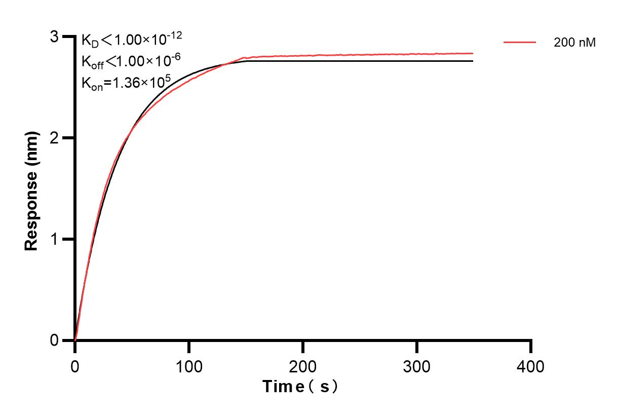 Affinity and Kinetic Characterization of 83567-5-PBS