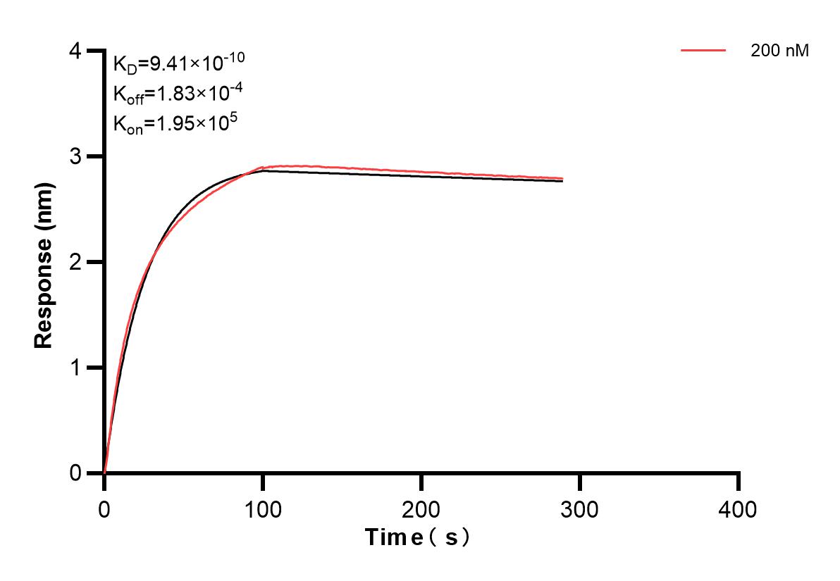 Affinity and Kinetic Characterization of 83569-3-PBS