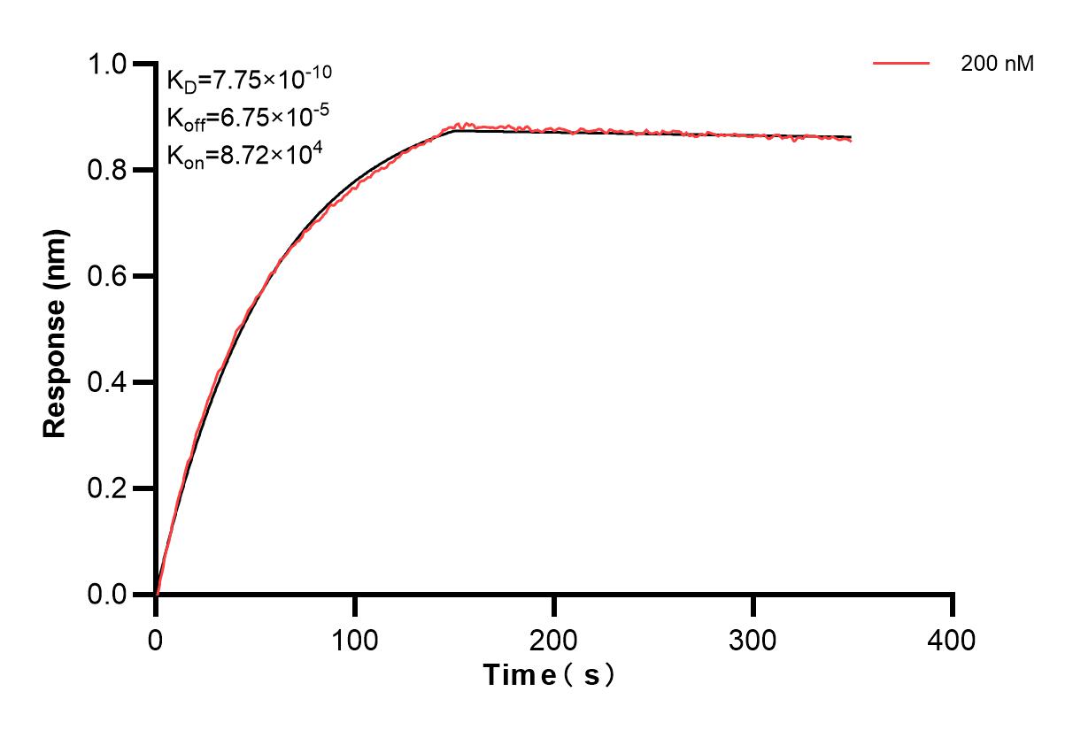 Affinity and Kinetic Characterization of 83578-5-PBS