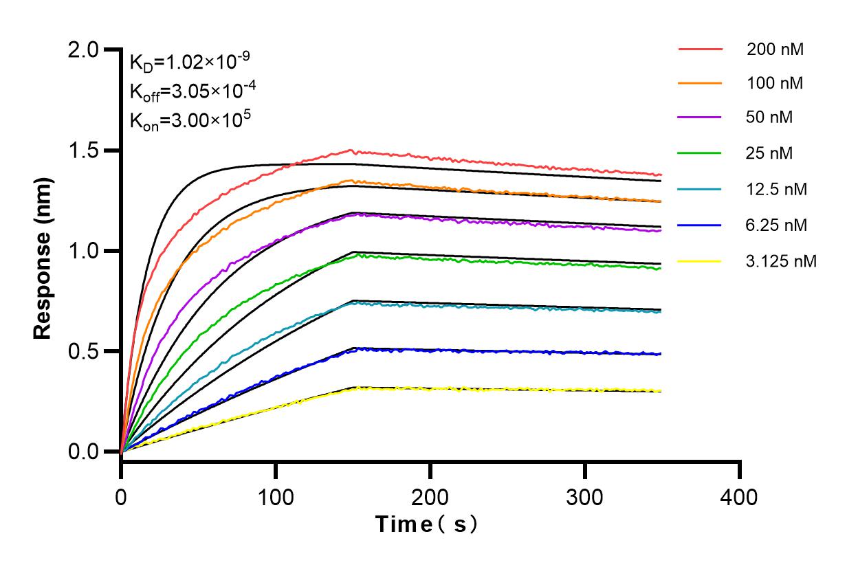 Affinity and Kinetic Characterization of 83580-5-RR