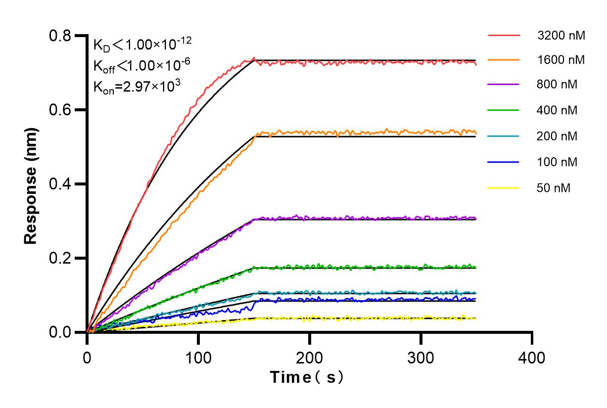 Affinity and Kinetic Characterization of 83589-5-RR