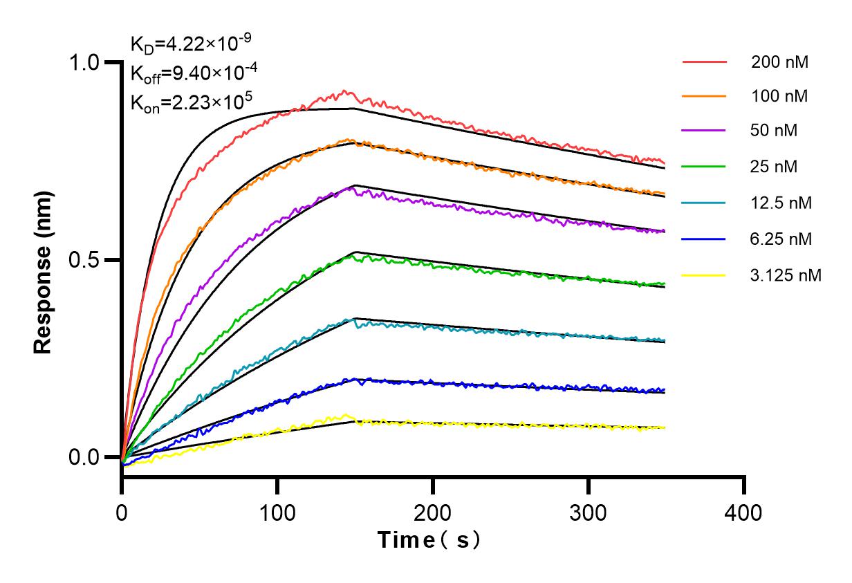 Affinity and Kinetic Characterization of 83591-2-RR