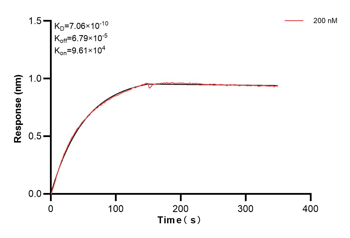 Affinity and Kinetic Characterization of 83594-1-PBS