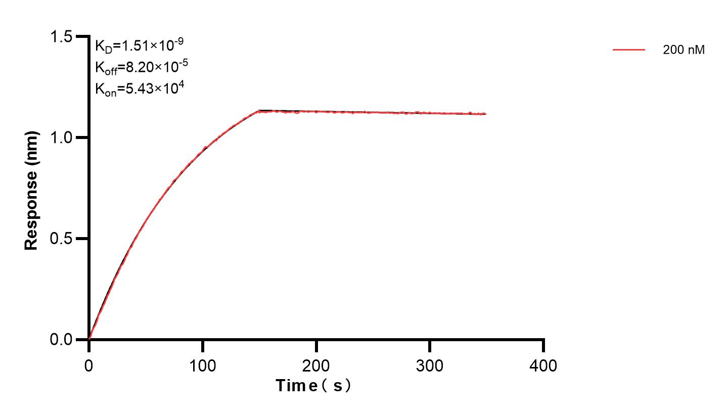 Affinity and Kinetic Characterization of 83598-1-PBS