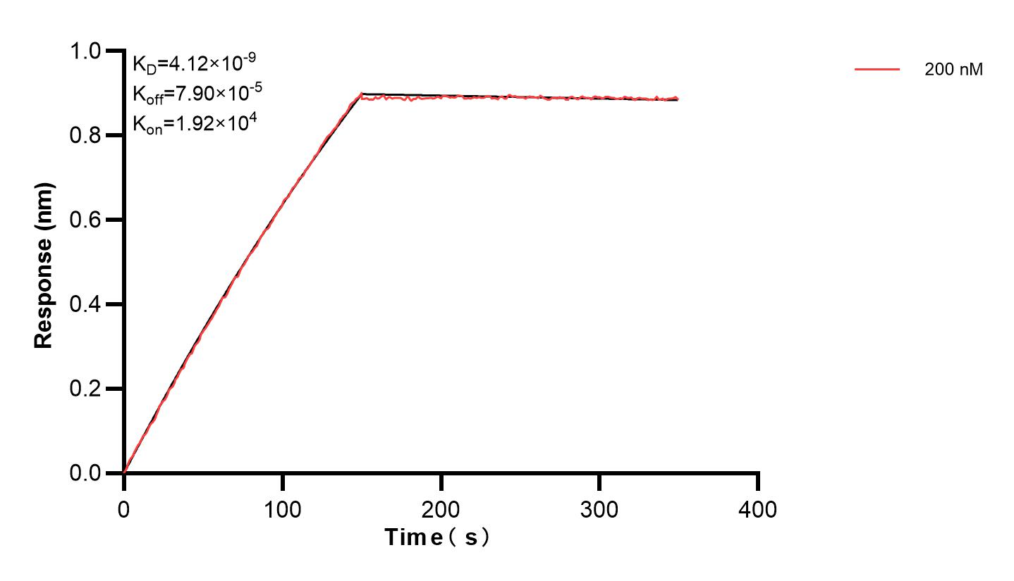 Affinity and Kinetic Characterization of 83598-3-PBS