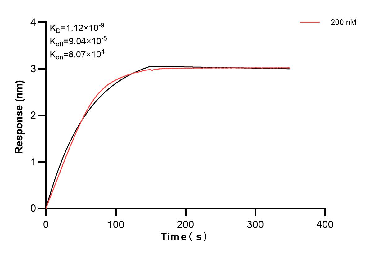 Affinity and Kinetic Characterization of 83602-4-PBS