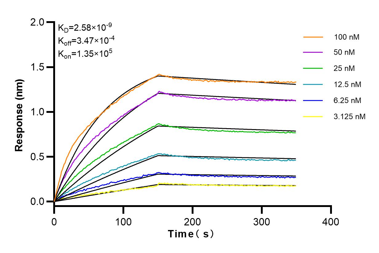 Affinity and Kinetic Characterization of 83608-4-RR