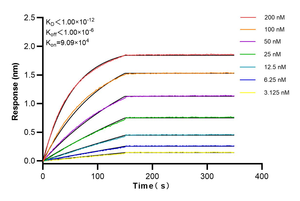 Affinity and Kinetic Characterization of 83614-2-RR