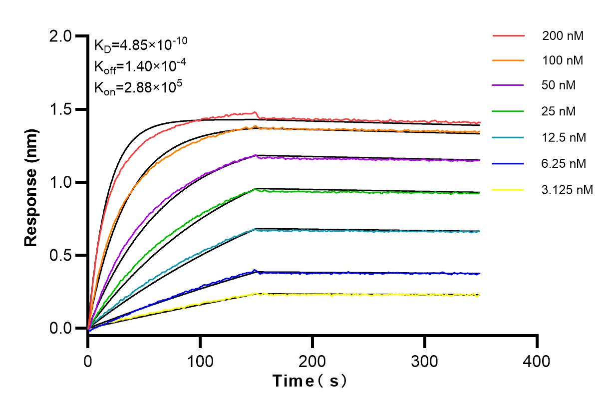 Affinity and Kinetic Characterization of 83615-4-RR