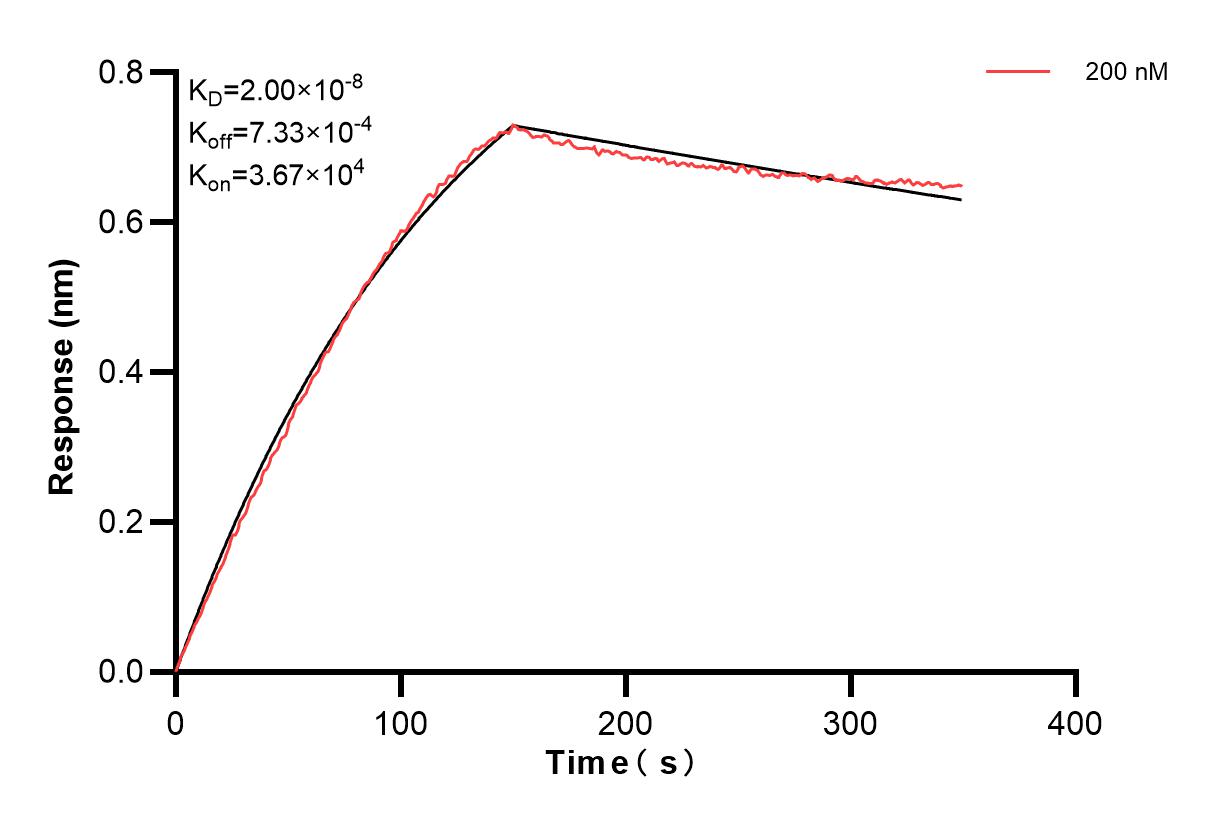 Affinity and Kinetic Characterization of 83620-1-PBS