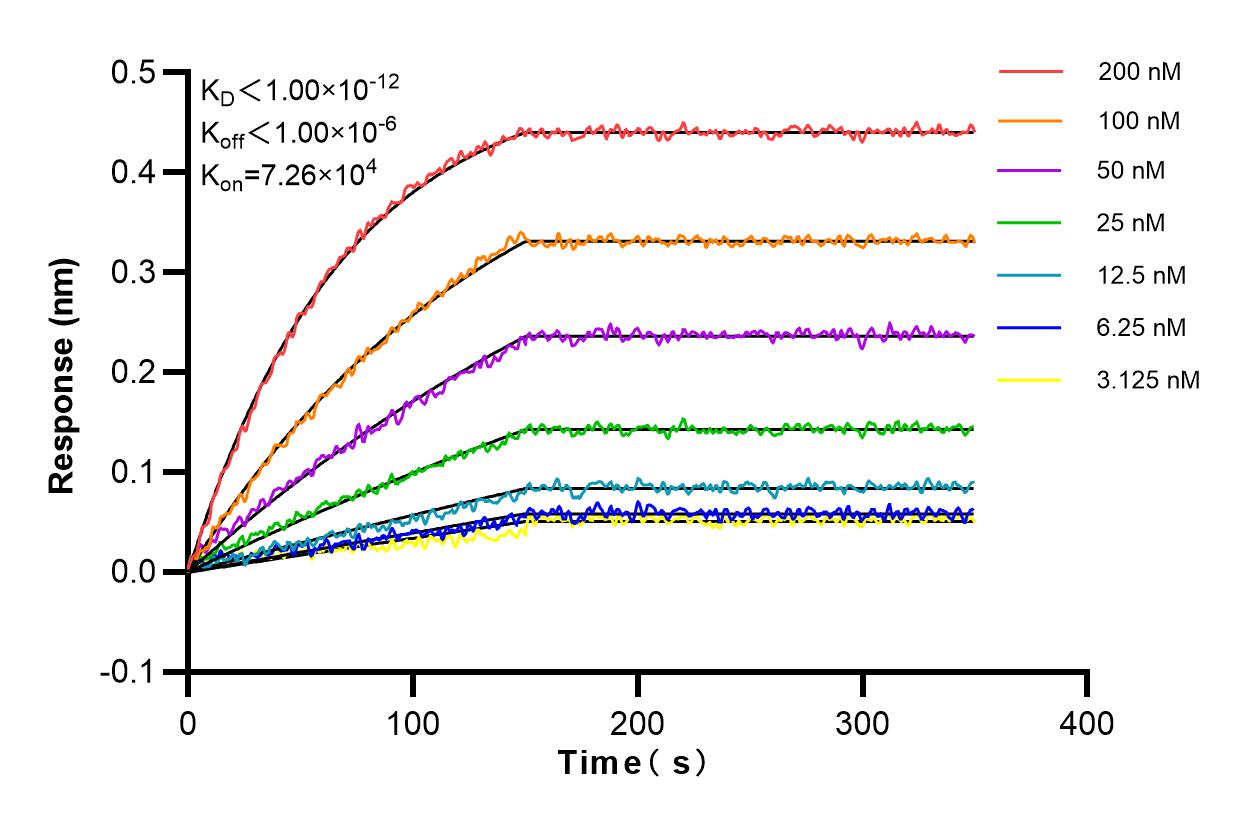 Affinity and Kinetic Characterization of 83620-5-RR