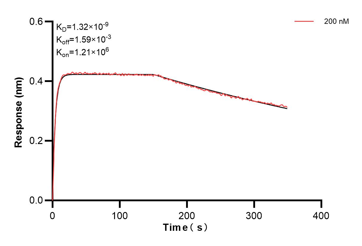 Affinity and Kinetic Characterization of 83621-2-PBS