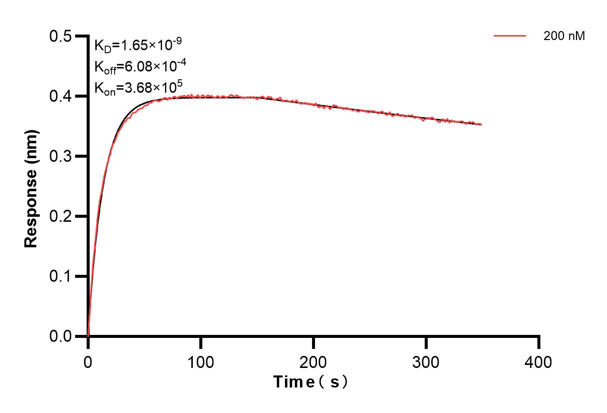 Affinity and Kinetic Characterization of 83621-5-PBS