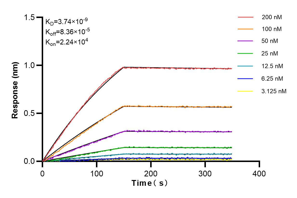 Affinity and Kinetic Characterization of 83622-6-RR