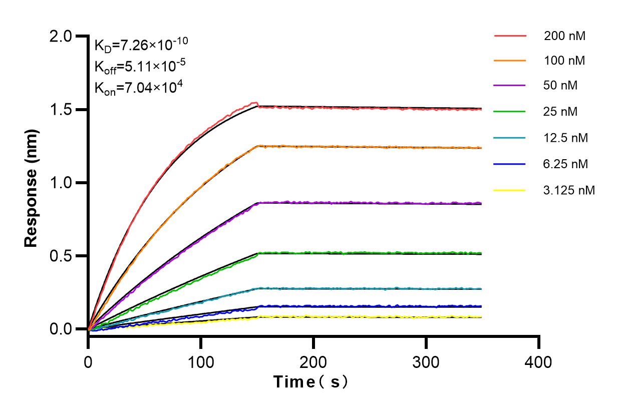 Affinity and Kinetic Characterization of 83623-5-RR