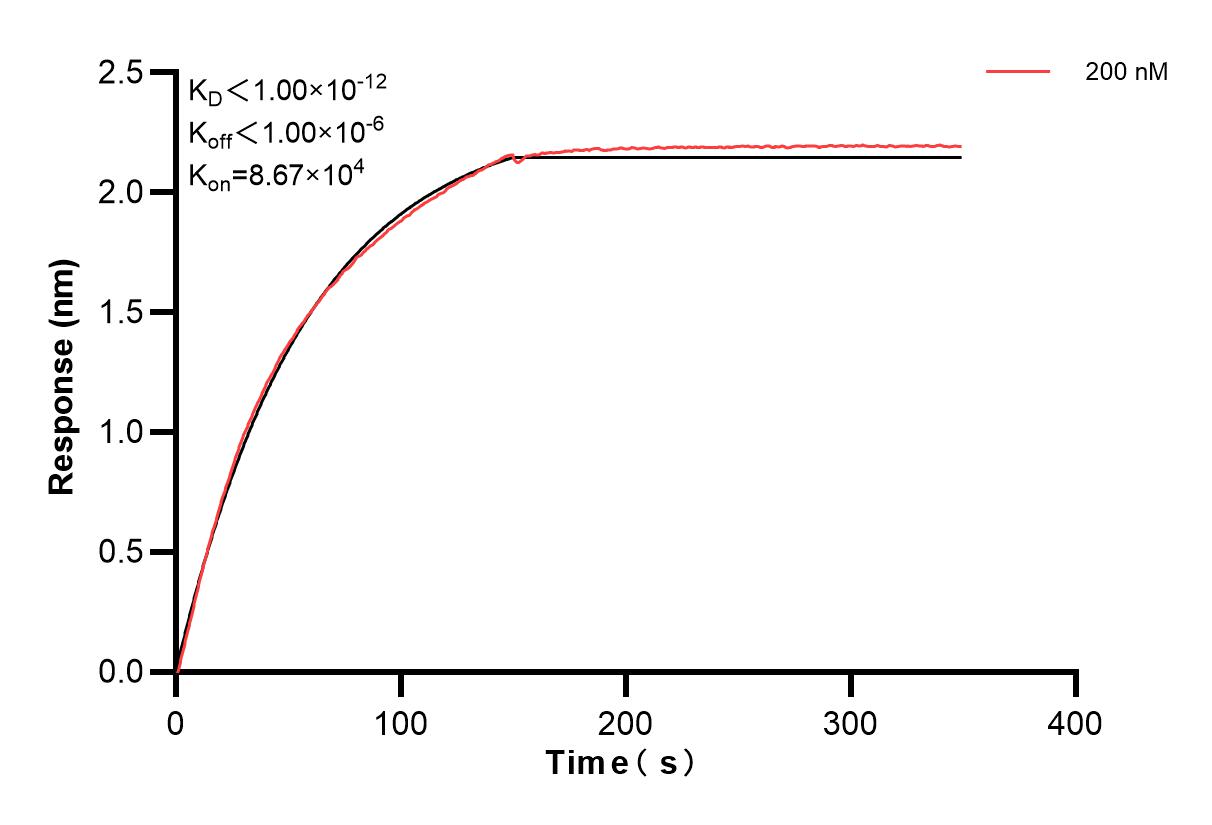 Affinity and Kinetic Characterization of 83624-1-PBS