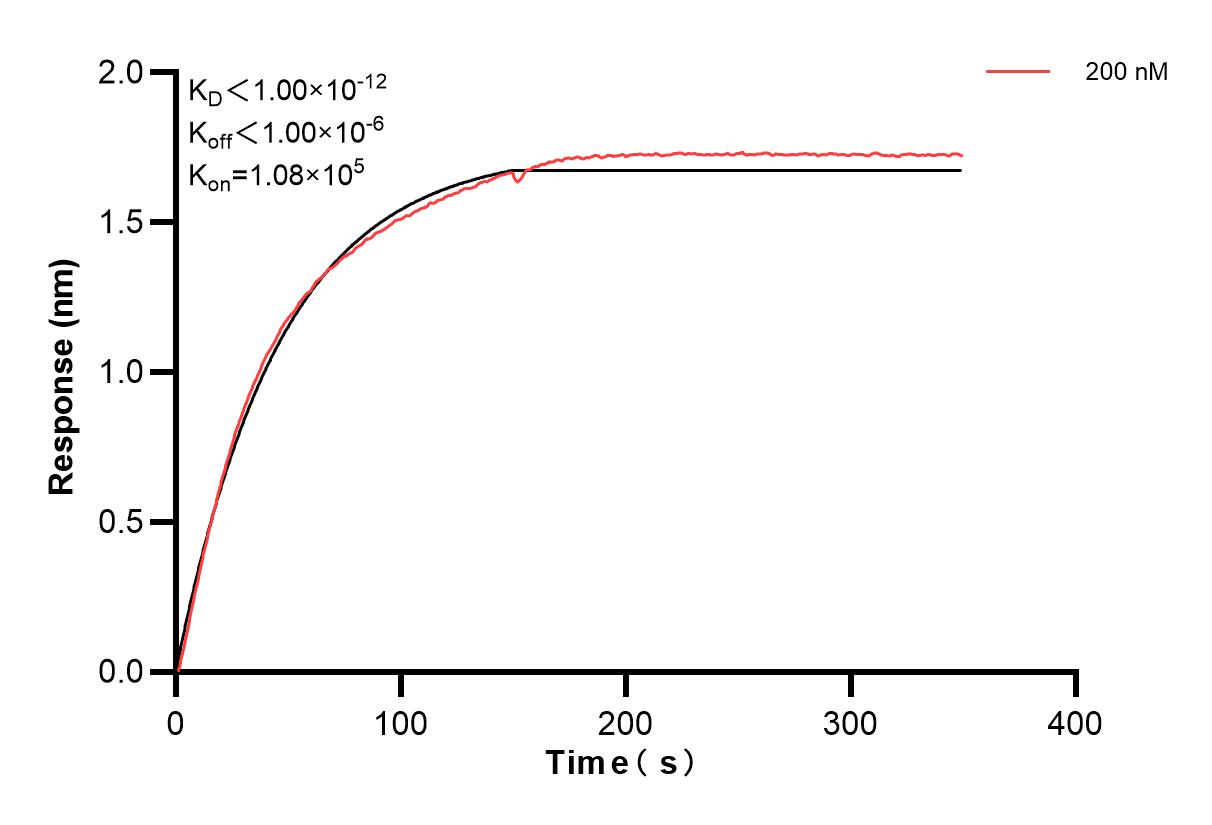 Affinity and Kinetic Characterization of 83624-2-PBS