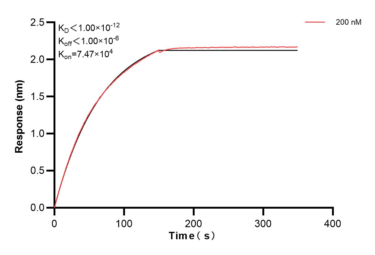 Affinity and Kinetic Characterization of 83624-4-PBS