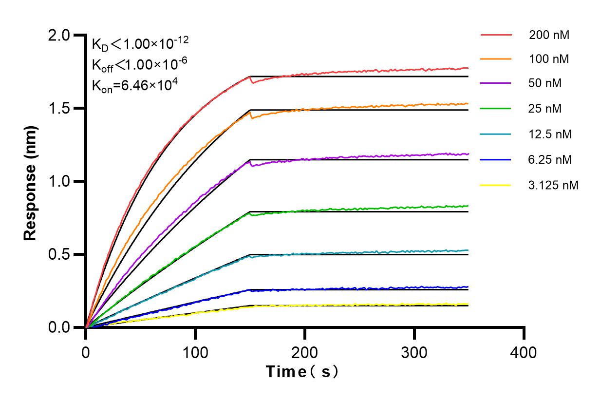 Affinity and Kinetic Characterization of 83626-5-RR