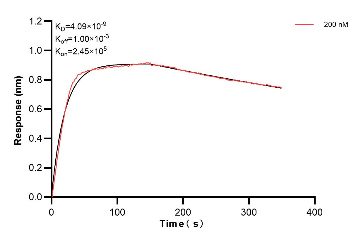 Affinity and Kinetic Characterization of 83635-2-PBS