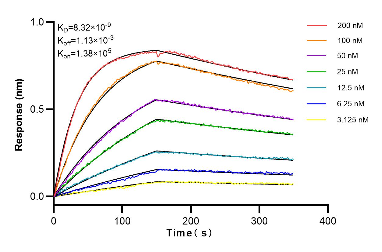 Affinity and Kinetic Characterization of 83635-4-RR