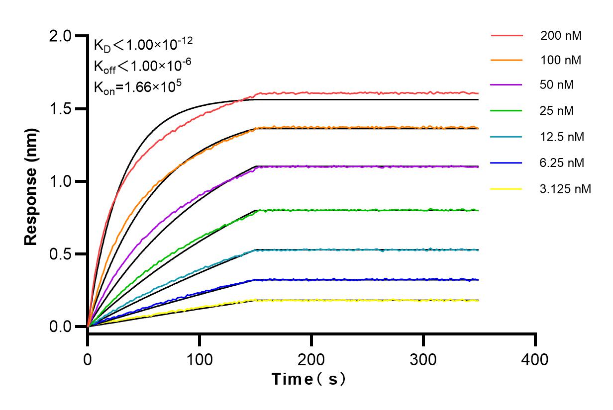 Affinity and Kinetic Characterization of 83638-3-RR