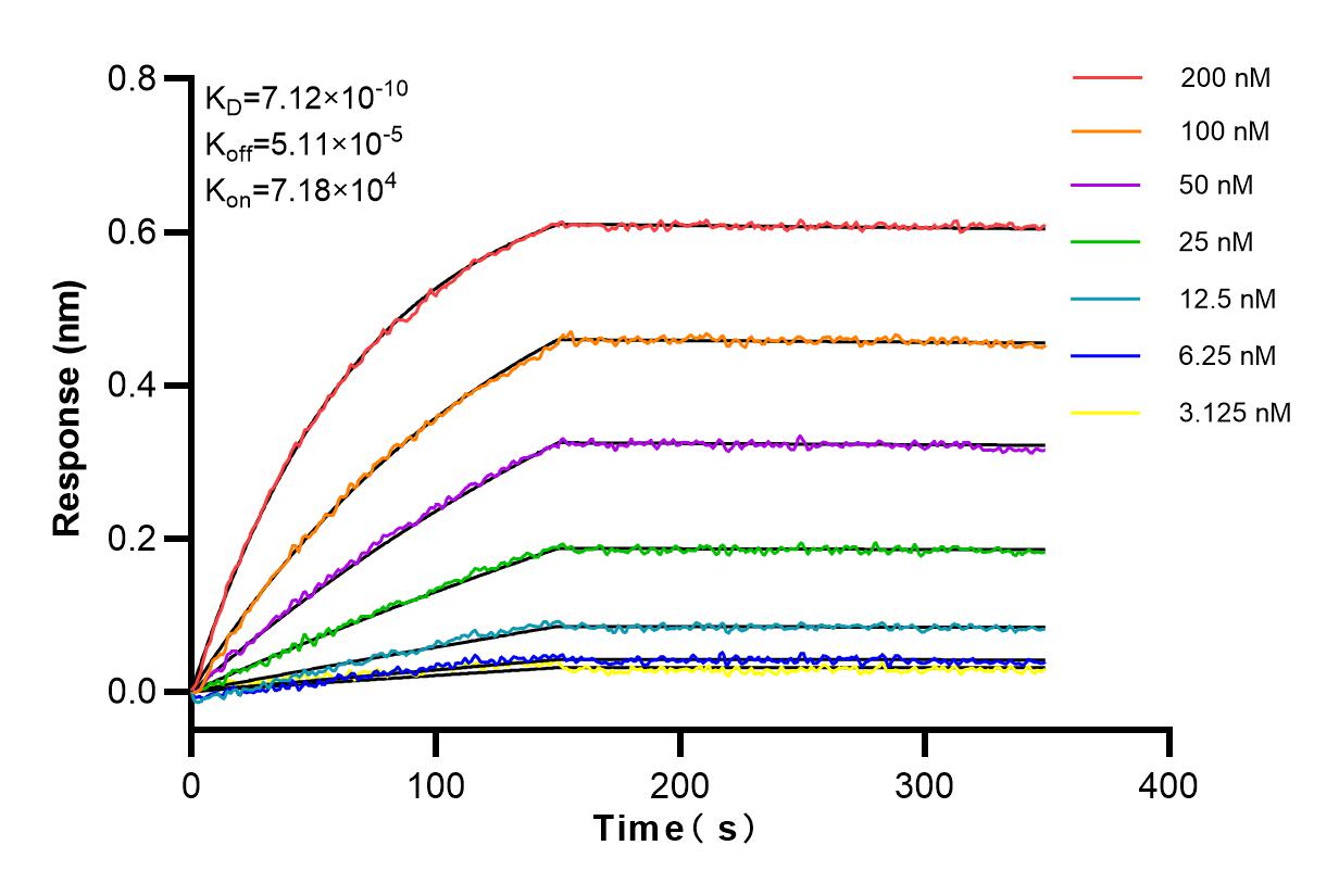 Affinity and Kinetic Characterization of 83640-5-RR