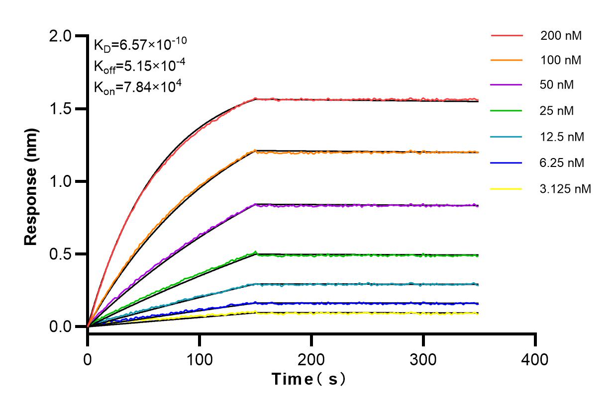 Affinity and Kinetic Characterization of 83643-4-RR