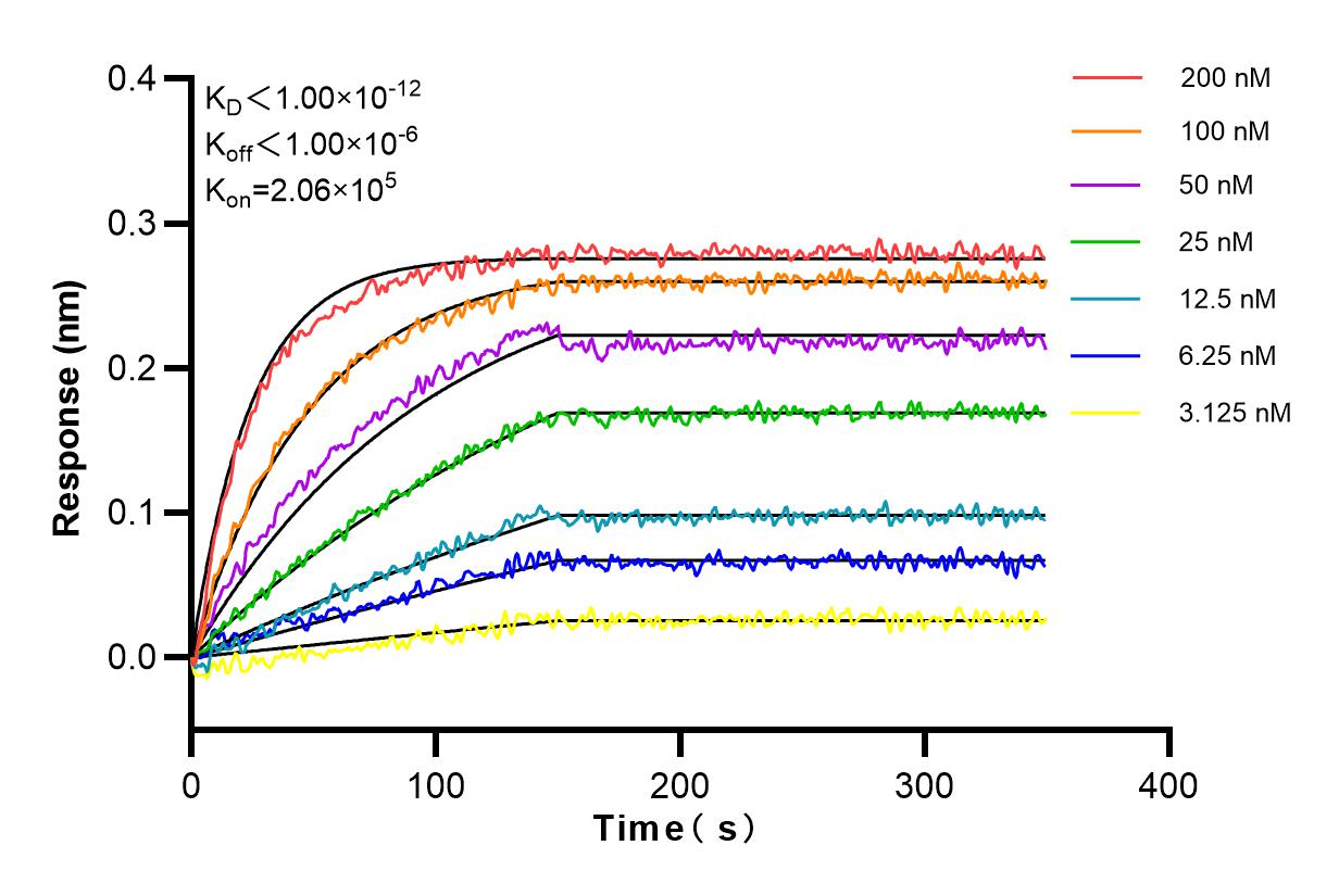 Affinity and Kinetic Characterization of 83649-5-RR