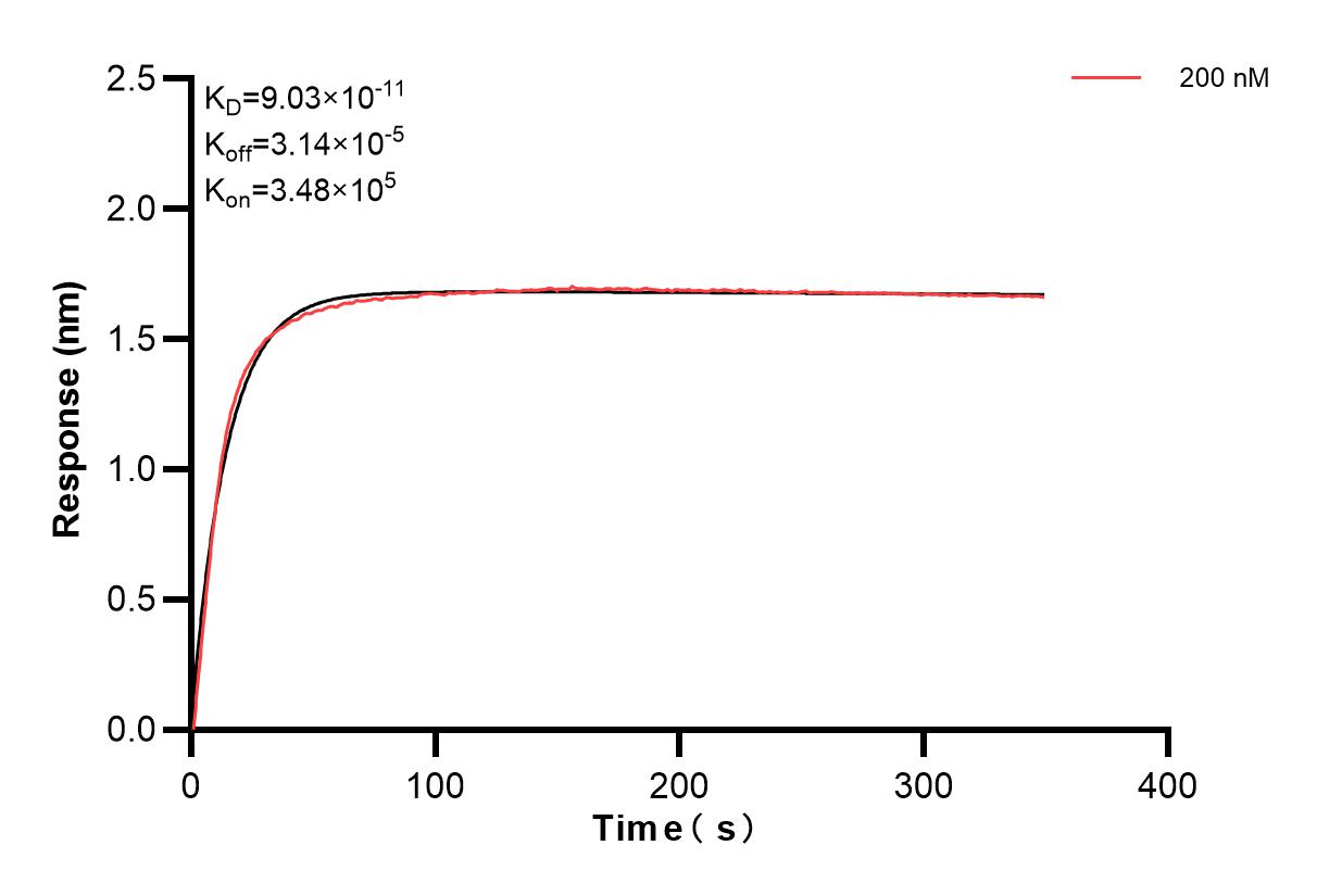 Affinity and Kinetic Characterization of 83654-3-PBS