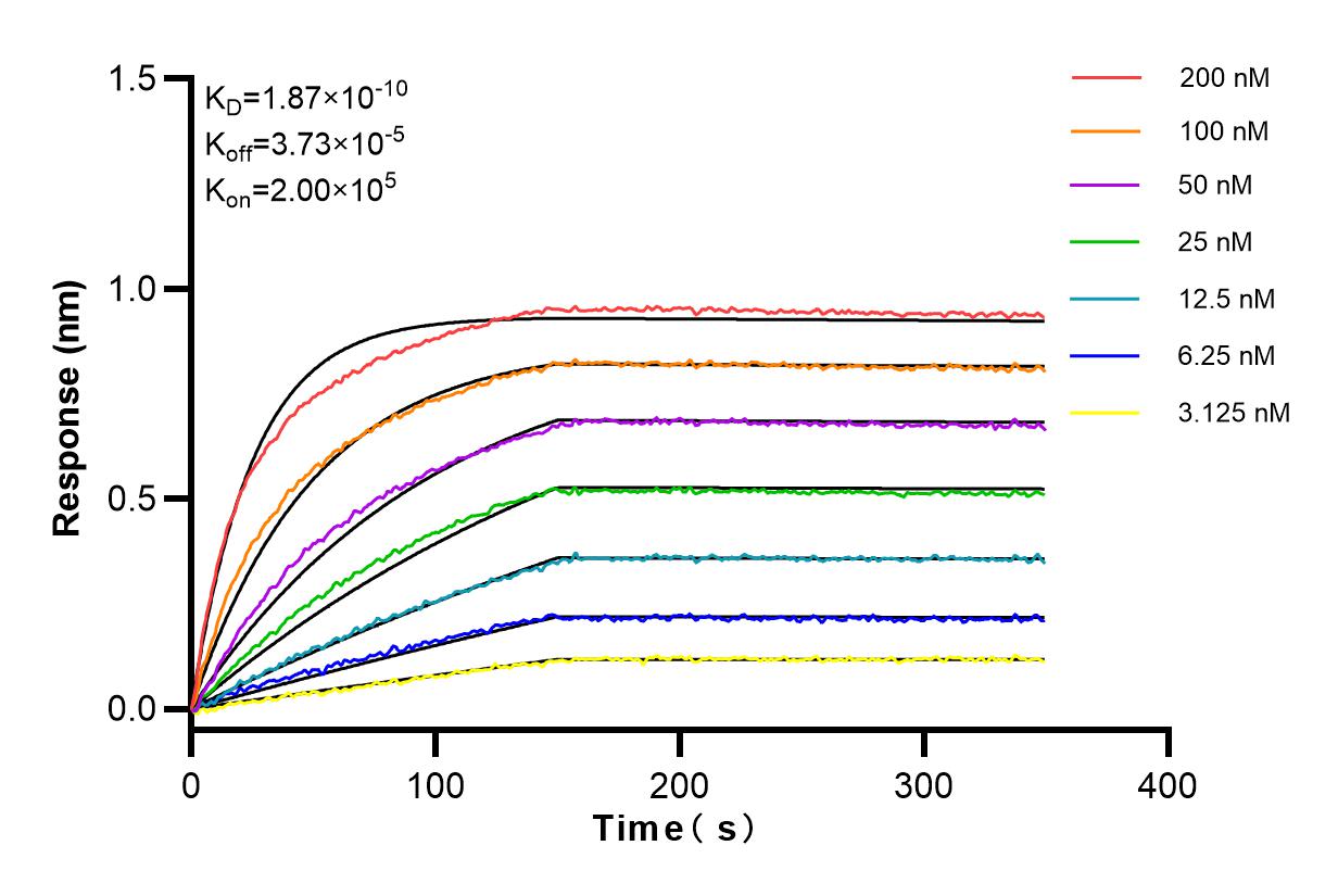 Affinity and Kinetic Characterization of 83657-5-RR