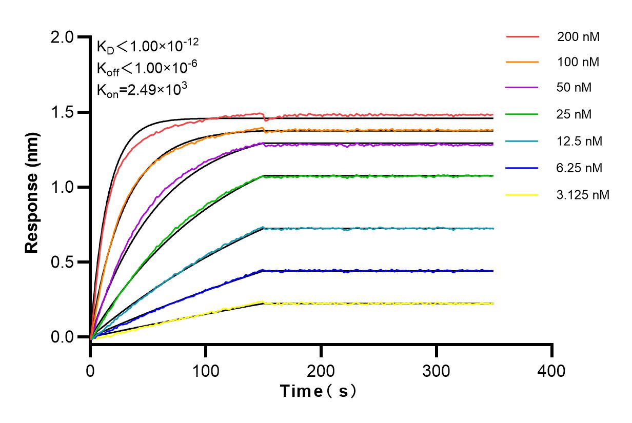 Affinity and Kinetic Characterization of 83658-2-RR